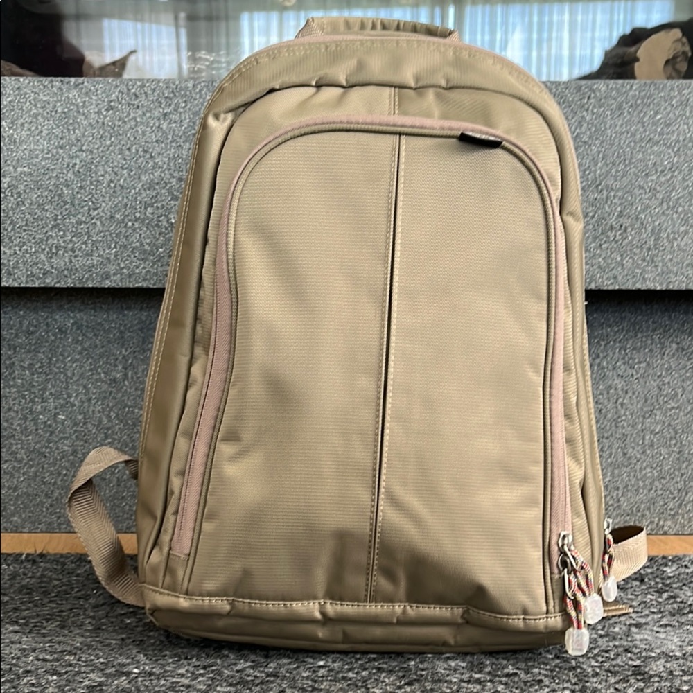 eBags commuter/travel backpack